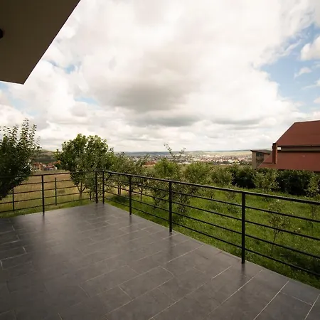 Villa Casa Rodica